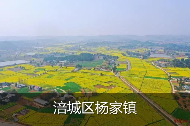 涪城区杨家镇